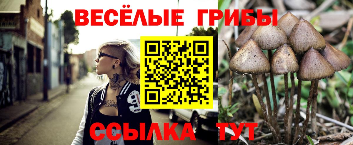 Краснодар  Галлюциногенные грибы MAGIC MUSHROOMS  Галлюциногенные грибы MAGIC MUSHROOMS  Вход с VPN 